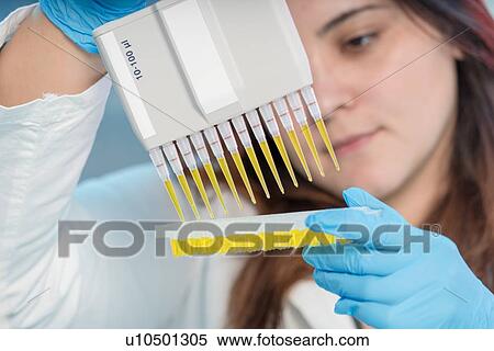 Stock Photography - Researcher using multichannel pipette.. Fotosearch