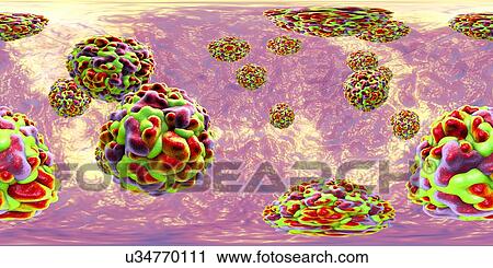 Rhinoviruses, 360-degree panorama view, computer illustration. The rhinovirus infects the upper respiratory tract and is the cause of the common cold. It is spread by coughs and sneezes. View Large Photo Image Stock Image - Rhinoviruses, 360-degree panorama view, computer illustration. The rhinovirus infects the upper respiratory tract and is the cause of the common cold. It is spread by coughs and sneezes.. Fotosearch