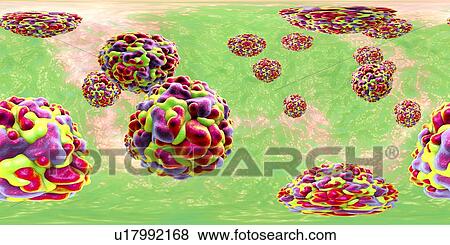 Stock Photo - Rhinoviruses, 360-degree panorama view, computer illustration. The rhinovirus infects the upper respiratory tract and is the cause of the common cold. It is spread by coughs and sneezes.. Fotosearch