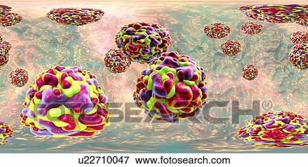 Stock Photo - Rhinoviruses, 360-degree panorama view, computer illustration. The rhinovirus infects the upper respiratory tract and is the cause of the common cold. It is spread by coughs and sneezes.. Fotosearch