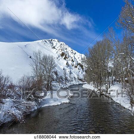Picture - River by bare trees in snow in Sun Valley, Idaho, USA. Fotosearch
