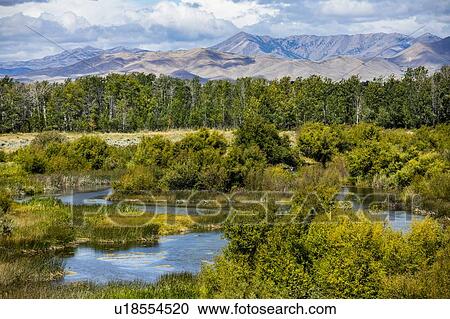 Stock Image - River by forest in Picabo, Idaho, USA. Fotosearch