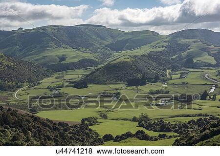 Rural landscape in Tawanui, New Zealand View Large Photo Image Stock Photo - Rural landscape in Tawanui, New Zealand. Fotosearch
