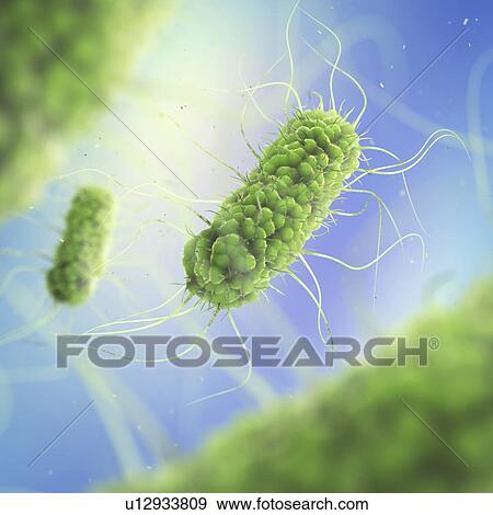 Stock Photo - Salmonella bacteria, illustration.. Fotosearch