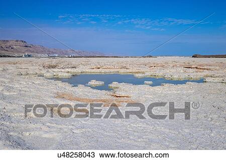 Stock Image - Salt formation caused by the evaporation of the water on the shore of the Dead Sea, Israel.. Fotosearch