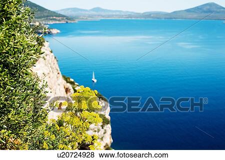 Scenic view of blue sea from cliff, elevated shallow focus view, Alghero, Sardinia, Italy View Large Photo Image Stock Photo - Scenic view of blue sea from cliff, elevated shallow focus view, Alghero, Sardinia, Italy. Fotosearch