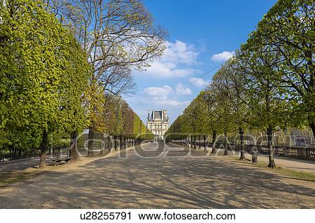 Scenic view of tree lined Jardin des Tuileries and Louvre Museum, Paris, France View Large Photo Image Stock Image - Scenic view of tree lined Jardin des Tuileries and Louvre Museum, Paris, France. Fotosearch
