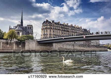 Stock Photo - Scenic waterfront view of Ile de la Cite and Notre Dame Cathedral, Paris, France. Fotosearch