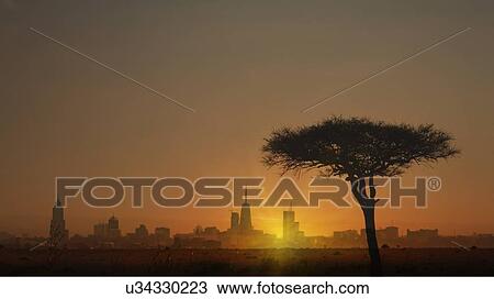Stock Image - Silhouette of tree in front of city skyline at sunset in Nairobi, Kenya. Fotosearch