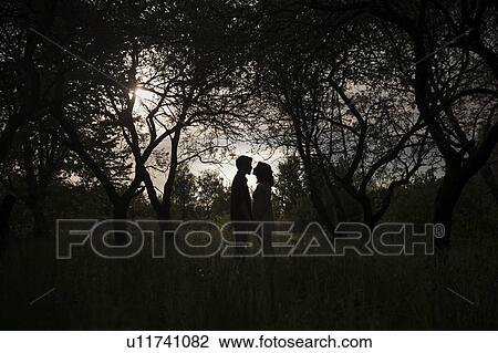 Stock Image - Silhouettes of young couple under trees. Fotosearch