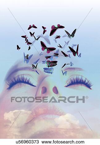 Sleeping woman dreaming of butterflies, illustration. View Large Photo Image Stock Image - Sleeping woman dreaming of butterflies, illustration.. Fotosearch