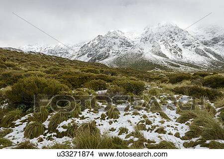 Picture - Snow in Hooker Valley, Mount Cook National Park, New Zealand. Fotosearch