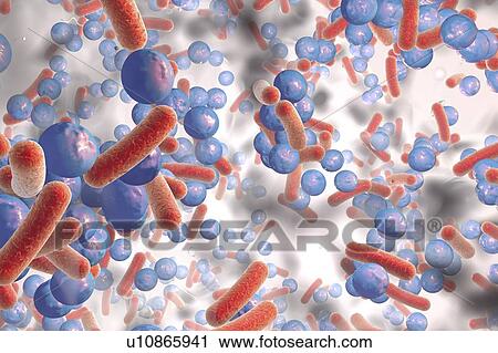 Spherical bacteria and rod-shaped bacteria inside a biofilm, illustration. A biofilm is a colony of bacteria that forms a coating on a surface. Common places for biofilms to develop are in the mouth, where they can cause tooth cavities and gum... View Large Photo Image Stock Image - Spherical bacteria and rod-shaped bacteria inside a biofilm, illustration. A biofilm is a colony of bacteria that forms a coating on a surface. Common places for biofilms to develop are in the mouth, where they can cause tooth cavities and gum.... Fotosearch