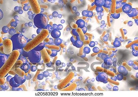 Stock Photo - Spherical bacteria and rod-shaped bacteria inside a biofilm, illustration. A biofilm is a colony of bacteria that forms a coating on a surface. Common places for biofilms to develop are in the mouth, where they can cause tooth cavities and gum.... Fotosearch