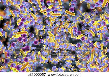 Spherical bacteria and rod-shaped bacteria inside a biofilm, illustration. A biofilm is a colony of bacteria that forms a coating on a surface. Common places for biofilms to develop are in the mouth, where they can cause tooth cavities and gum... View Large Photo Image Stock Photo - Spherical bacteria and rod-shaped bacteria inside a biofilm, illustration. A biofilm is a colony of bacteria that forms a coating on a surface. Common places for biofilms to develop are in the mouth, where they can cause tooth cavities and gum.... Fotosearch