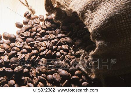 Spilled sack of roasted coffee beans View Large Photo Image Stock Image - Spilled sack of roasted coffee beans. Fotosearch
