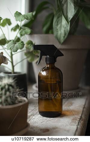 Spray bottle by potted plants View Large Photo Image Stock Photo - Spray bottle by potted plants. Fotosearch
