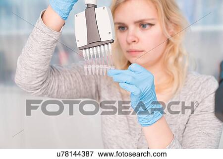 Stock Photo - Student using multichannel pipette.. Fotosearch