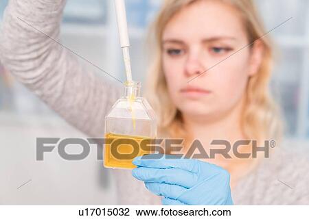 Student using pipette. View Large Photo Image Stock Image - Student using pipette.. Fotosearch