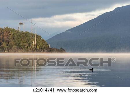 Sunrise on Te Anau Lake, New Zealand View Large Photo Image Stock Image - Sunrise on Te Anau Lake, New Zealand. Fotosearch