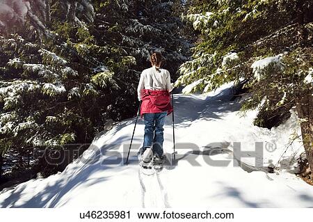 Teenage girl snowshoeing in snow covered mountain forest, rear view, Styria, Tyrol, Austria View Large Photo Image Stock Image - Teenage girl snowshoeing in snow covered mountain forest, rear view, Styria, Tyrol, Austria. Fotosearch
