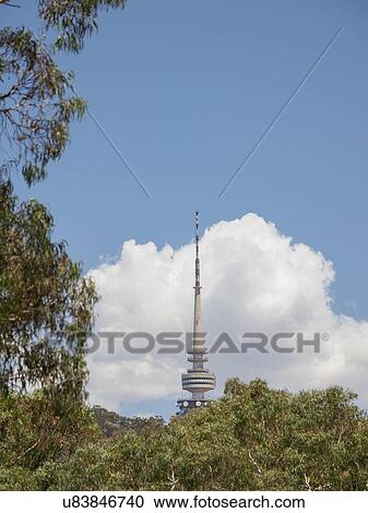 Stock Image - Telstra Tower behind trees in Canberra, Australia. Fotosearch