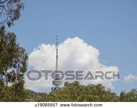 Stock Photo - Telstra Tower behind trees in Canberra, Australia. Fotosearch