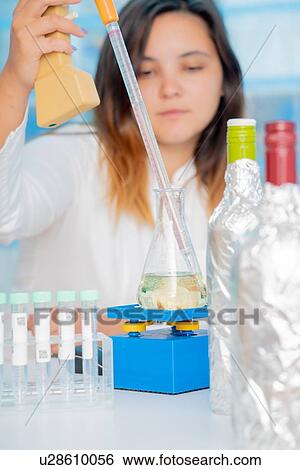 Stock Photograph - Testing wine in quality control lab.. Fotosearch