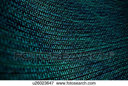 Stock Photo - The four bases of DNA (Deoxyribonucleic acid), also known as the ACGT code, illustration.. Fotosearch