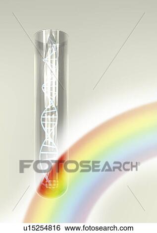 Stock Photograph - The 'gay' gene, conceptual illustration.. Fotosearch