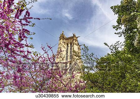 Tour Saint-Jacques seen through tree tops, Paris, France View Large Photo Image Stock Photography - Tour Saint-Jacques seen through tree tops, Paris, France. Fotosearch