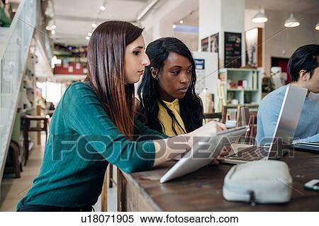 Two young businesswomen remote working, looking at laptop in cafe View Large Photo Image Stock Photography - Two young businesswomen remote working, looking at laptop in cafe. Fotosearch