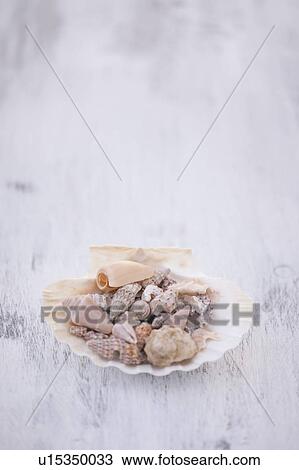 Stock Image - Variety of seashells on white surface. Fotosearch