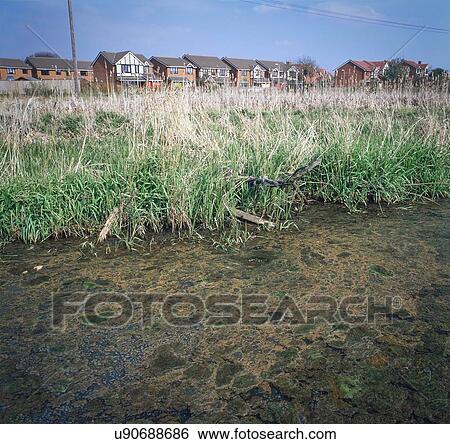 Stock Photograph - Water polluted with leachate from buried industrial waste near a residential area. Photographed near Walsall, West Midlands, UK.. Fotosearch