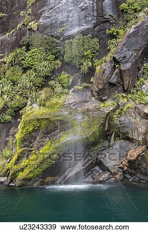 Stock Photo - Waterfall in Milford Sound, New Zealand. Fotosearch
