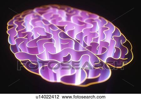 Stock Image - Wavy lines in the shape of the human brain, illustration.. Fotosearch