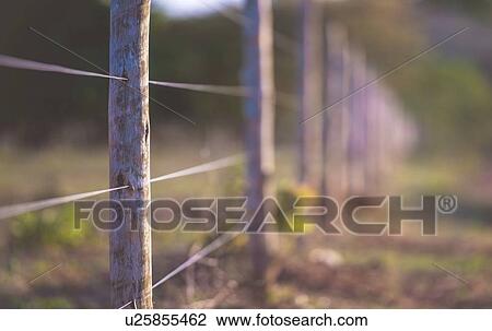 Wire fence with wooden posts. View Large Photo Image Stock Image - Wire fence with wooden posts.. Fotosearch