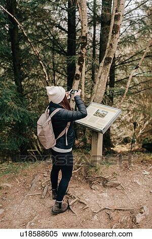 Woman photographing information board, Trossachs National Park, Canada View Large Photo Image Stock Photography - Woman photographing information board, Trossachs National Park, Canada. Fotosearch