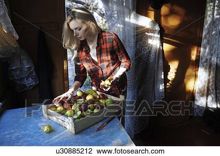 Woman sorting crate of apples on table View Large Photo Image Stock Image - Woman sorting crate of apples on table. Fotosearch