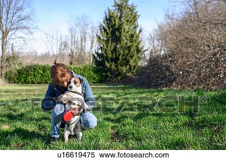 Woman taking pet dog for walk in park View Large Photo Image Stock Photography - Woman taking pet dog for walk in park. Fotosearch