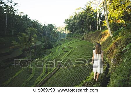 Woman wearing white dress on terraced rice paddies in Bali, Indonesia View Large Photo Image Stock Image - Woman wearing white dress on terraced rice paddies in Bali, Indonesia. Fotosearch