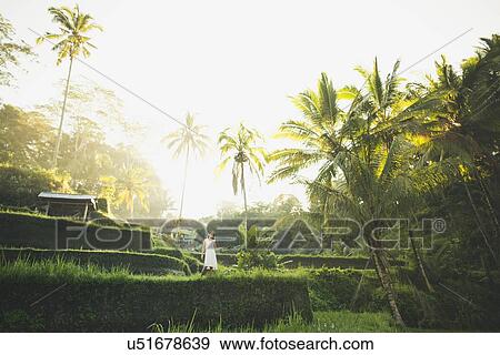 Woman wearing white dress on terraced rice paddies in Bali, Indonesia View Large Photo Image Stock Photo - Woman wearing white dress on terraced rice paddies in Bali, Indonesia. Fotosearch