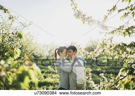 Young couple embracing by trees View Large Photo Image Picture - Young couple embracing by trees. Fotosearch