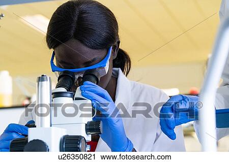 Young female scientist looking through microscope in laboratory View Large Photo Image Stock Image - Young female scientist looking through microscope in laboratory. Fotosearch