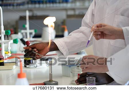 Young male and female scientists using pipette and bunsen burner in laboratory experiment, cropped View Large Photo Image Stock Image - Young male and female scientists using pipette and bunsen burner in laboratory experiment, cropped. Fotosearch