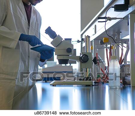 Young male scientist using digital tablet in laboratory, cropped surface level view View Large Photo Image Stock Photo - Young male scientist using digital tablet in laboratory, cropped surface level view. Fotosearch