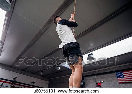 Young man training, climbing up exercise rope in gym, low angle view View Large Photo Image Stock Image - Young man training, climbing up exercise rope in gym, low angle view. Fotosearch