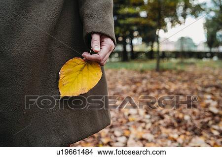 Young woman holding autumn leaf in park, cropped View Large Photo Image Picture - Young woman holding autumn leaf in park, cropped. Fotosearch