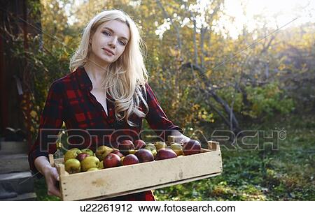 Stock Image - Young woman holding crate of apples. Fotosearch