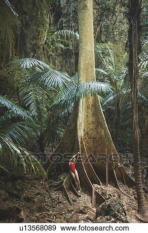 Stock Photo - Young woman in swimsuit leaning on large tree in Krabi, Thailand. Fotosearch